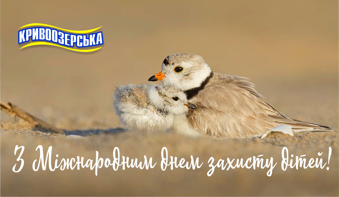 Прев'ю картинка для новини - Кривоозерська вітає з Міжнародним днем захисту дітей!